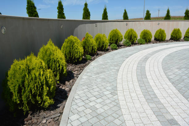Best Residential Paver Driveway  in Palatka, FL